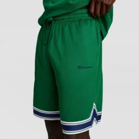 10-Zoll-Gridiron-Wendeshorts, Script Logo