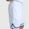 10-Zoll-Gridiron-Wendeshorts, Script Logo